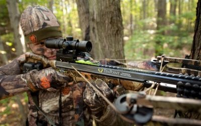 What Are The Two Most Common Types Of Crossbows?