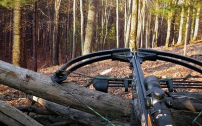 7 Best Crossbow For The Money