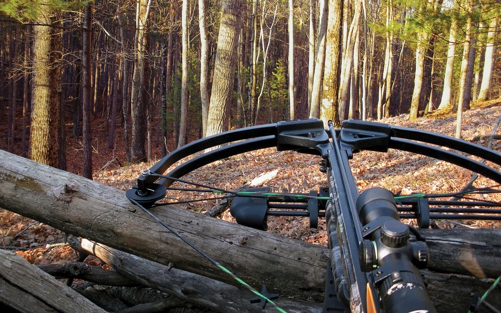 best crossbows for the money featured