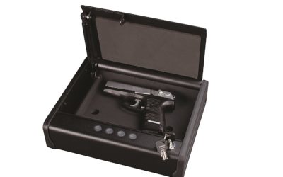 What Are The Best Gun Safes Under $500?