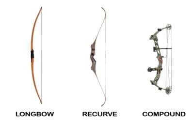 Compound Bow vs Longbow – Which One To Take?