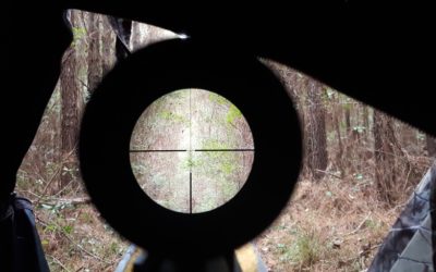 How To Adjust A Rifle Scope? – Here Is Our Complete Guide