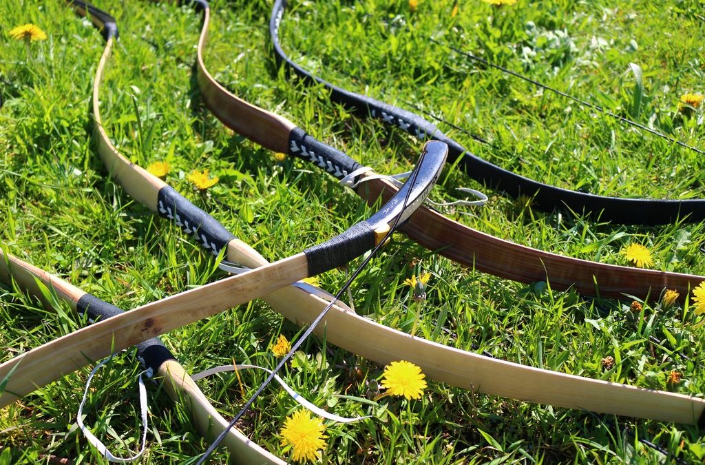 Compound Bow vs Recurve Bow For Beginners