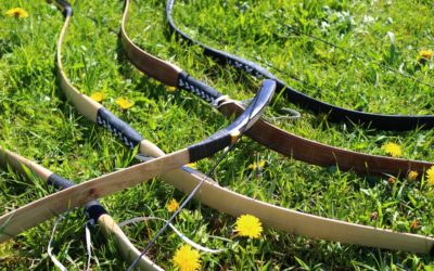 Compound Bow vs Recurve Bow For Beginners