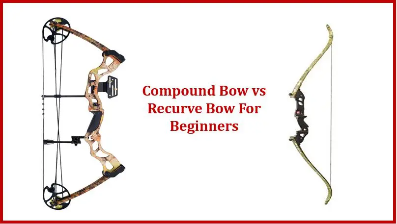 compound bow vs recurve bow for beginners