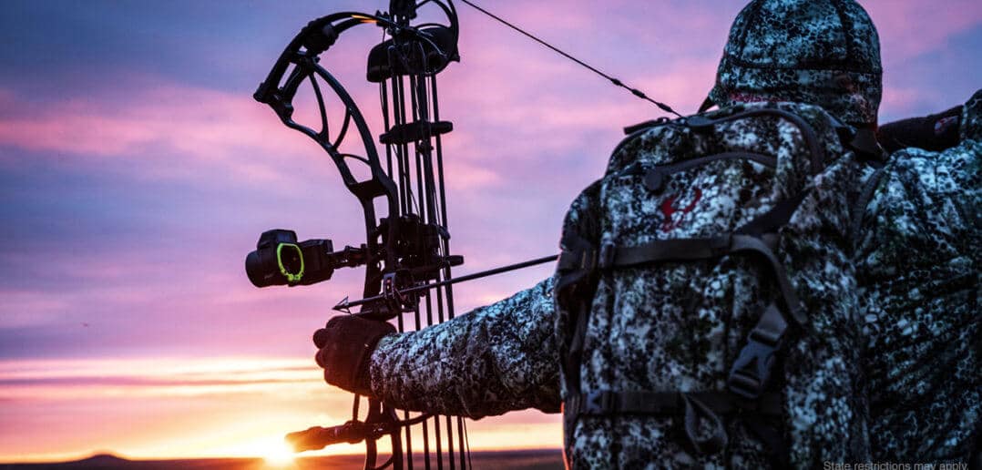 Best Bow Sights For Hunting