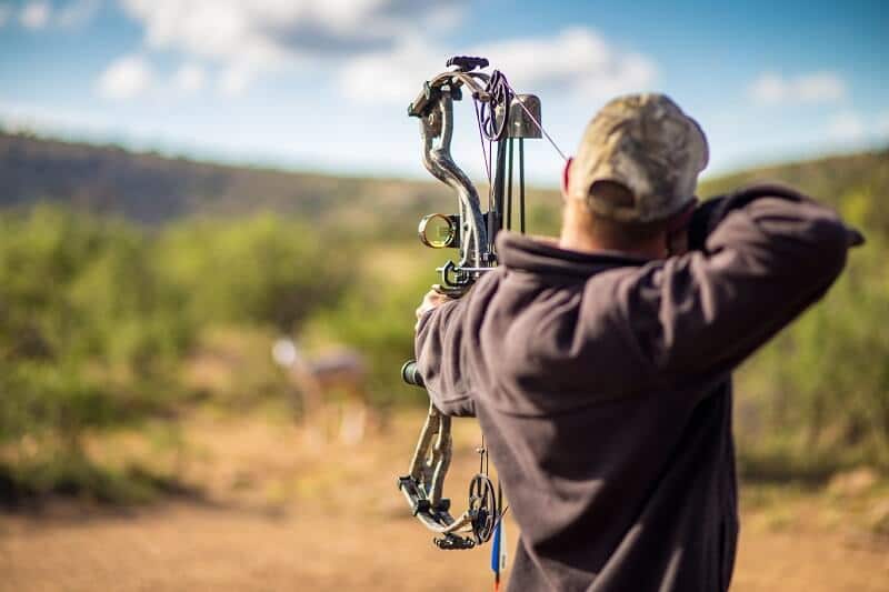 The Ultimate List of 25 Bow Hunting Tips For Beginners & Professionals