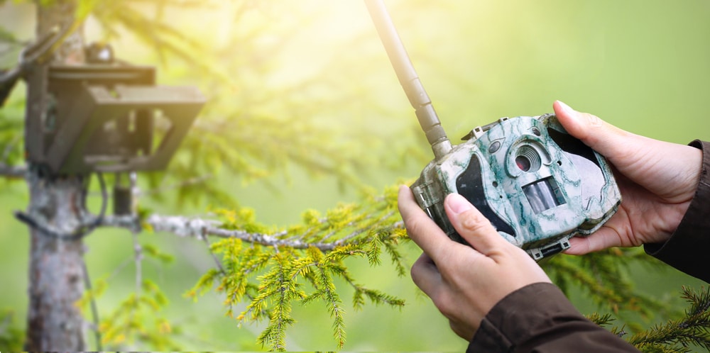 Looking for a Trail Camera? Here Are the Best Trail Cameras That Send Pictures to Your Phone