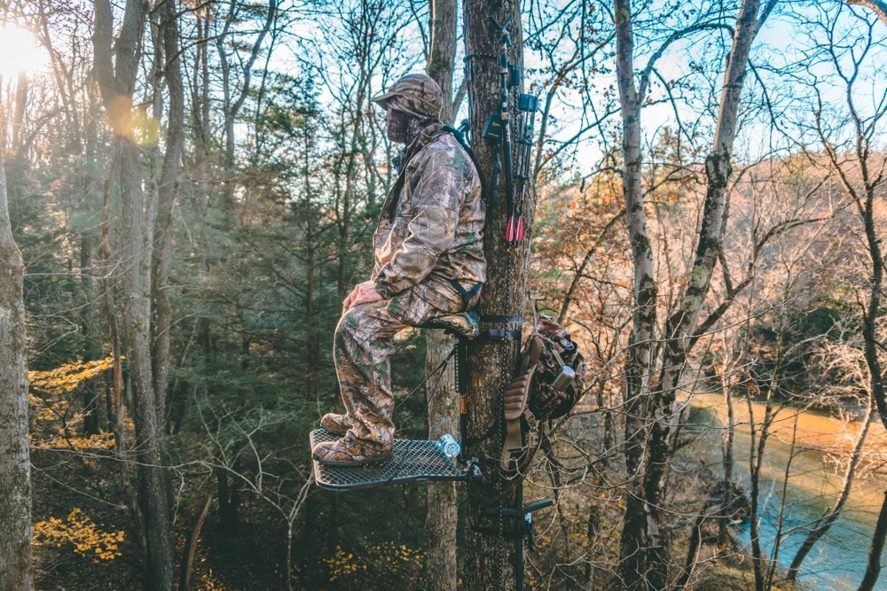 The Best Lightweight Climbing Tree Stands on the Market: Here’s Everything You Need to Know