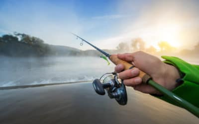 Time to Boost Your Angling Game: Here Are the 10 Best Ultralight Spinning Reels